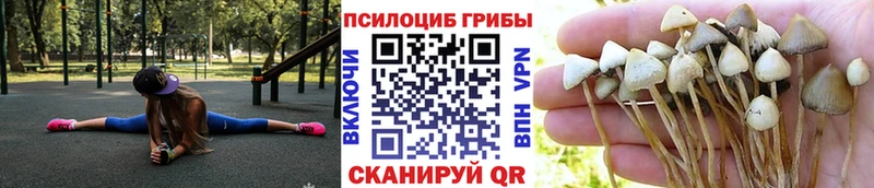 Псилоцибиновые грибы мицелий  Себеж 
